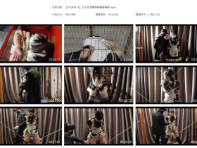 【YSSA0412】女仆王雪萌各种捆绑调教