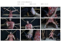 【YSYN0267】电椅上的女英