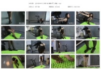 【QTGZS0911】艺束人生 毒贩木子（续集）