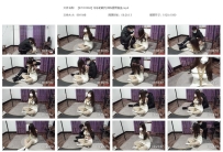 【ZJYC0084】乐乐的耐力训练直臂盘坐