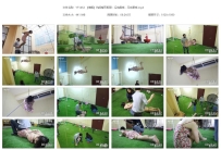 YT1462 【维姬】坑闺蜜无极限：没有最痒，只有更痒