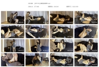 【BT0130】猫雨后手观音