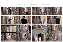 【SXYC0429】艾琳两套衣服的放置 两种姿势固定