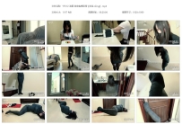 YT612 流星 自动包裹胶带【半岛+king】