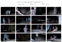 YT2464 【缇娜】【佟镜】跟波雅一起外出的可预见性后果 下