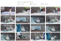 YT2568 【海语】不干了，养鱼了