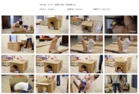 YT1719 【奎因】我是一只寄居蟹