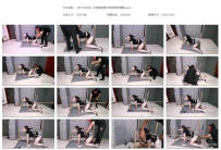 【FTYC0042】多功能新型k9架柔柔奴禁锢