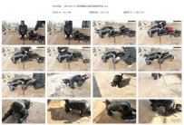 【MTL0011】屋顶遛狗还是皮具拘束风格