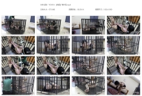 YT2374 【海语】笼中吊