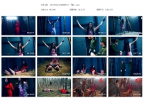 【SJYS0546】红岩英烈 2（下集）