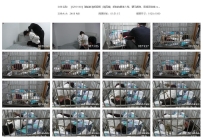 【SZY0168】瑾瑜的清明假期（第四集）乖狗狗捆绑入笼，驷...