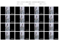 【QTGZS0347】安妮原创 自娱自乐（三角铁架的自缚）踮脚惩...