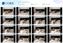 【SCY0006】驷马！