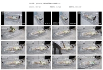 【GGJ0036】小草神纳西妲的充气床拘束