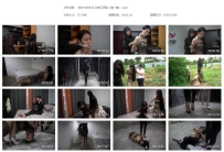 【MJYS0092】女特工历险（第一集）