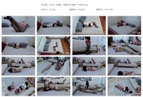 YT2490 【白鲸】【奎因】每人都有一个守护灵