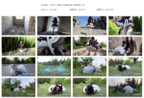 YT2406 【海语】★定拍转公映：魔法禁区