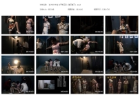 【SJYS0156】女子特工队（第三集下）