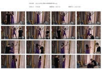 【SXYC0454】杨蕊 全身固定紫纱裙