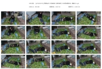 【QTGZS0705】理想生活 少妇的秘密（模拟绑架）长时间放置...