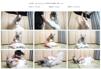 【XRYC427】小0-cos明日方舟w芭蕾服，绝美！