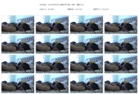 【QTGZS0628】清纯妹子马具，扣球，蒙眼