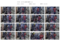 【SJYS0396】蜘蛛侠PK蝙蝠侠二