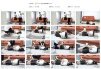 【ZJYC0115】新模极限驷马