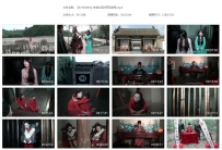 【SJYS0450】古装女囚片双凤奇冤