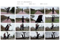 YT2378 【波雅】枯藤老树波鸦