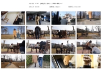 YT1461 【维姬】新人速成法：公园散步+蹦跶