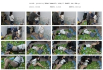 【QTGZS0710】理想生活 老婆的爱好8，年后第一天。强制驷马...