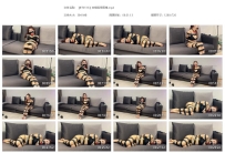 【BT0116】安慈胶带紧缚