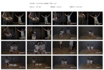 【SJYS0358】山城春晓（下集）