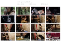 【YSSA0354】荒野遇险（下）