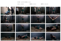 【SJYS0131】脱逃（2）