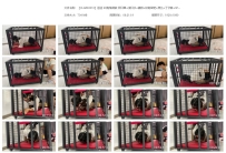 【XLGZS0010】涵涵 K9狗笼调教 开口器+流口水+镣铐+铁链固定+...
