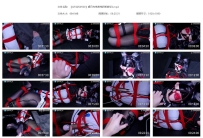 【QTGZS0500】明日方舟德克萨斯被俘2