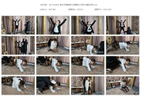 【SXYC0283】诺米 正装搜查官 金属固定 大口球 玫瑰花口球