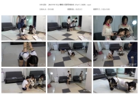 【MSYH0134】姗姗小狐狸紧缚游戏（Part 1-2合并）