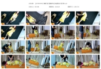 【QTGZS0838】绳舞飞扬 直播危机之快递里的大号口球