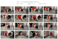 【SXYC0204】诗园 清纯的圣诞女郎跪趴器 口水打湿毛毯