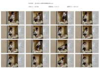 【BT0092】衣柜中放置的安慈