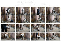 【SXYC0339】杨蕊 单手套后手吊