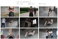 YT2944 【海语】乡村振兴计划