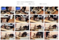 【QTGZS0231】同好定拍日式驷马堵嘴