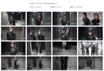 【MJYS0093】女特工历险 第二集