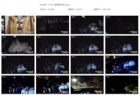 YT1291 海语驷马回家记