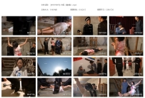 【HJYY0007】白狐（第4集）